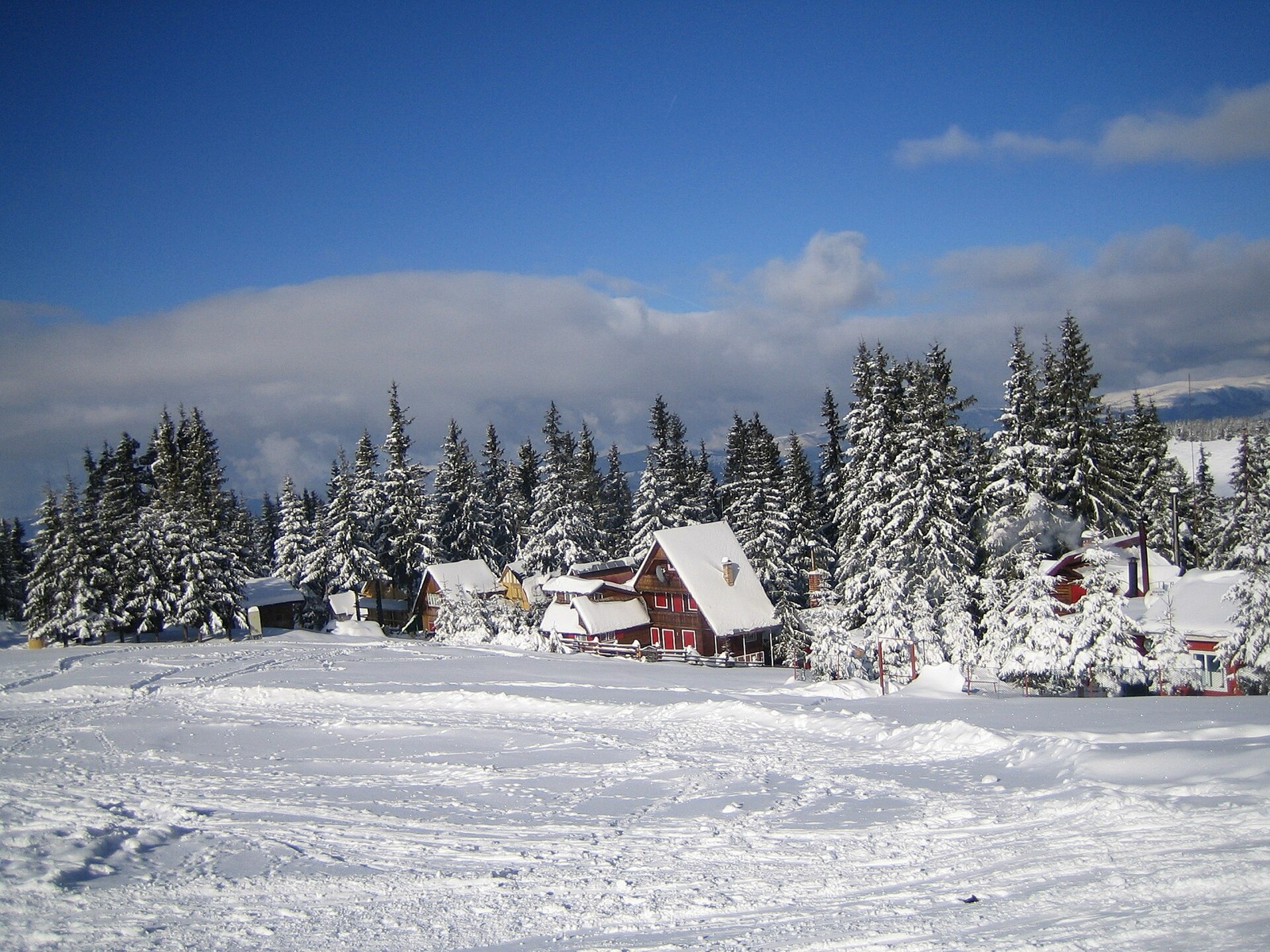 Berghütten im Ferienort Parâng im Winter